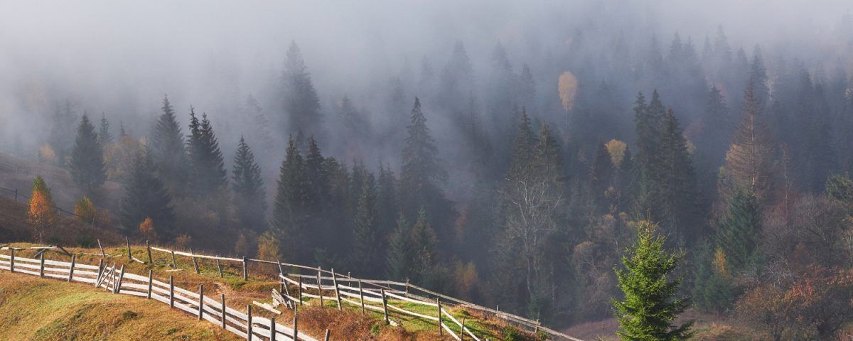 trasee-montane-usoare