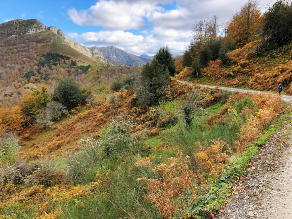 trasee-montane-usoare-ce-sunt