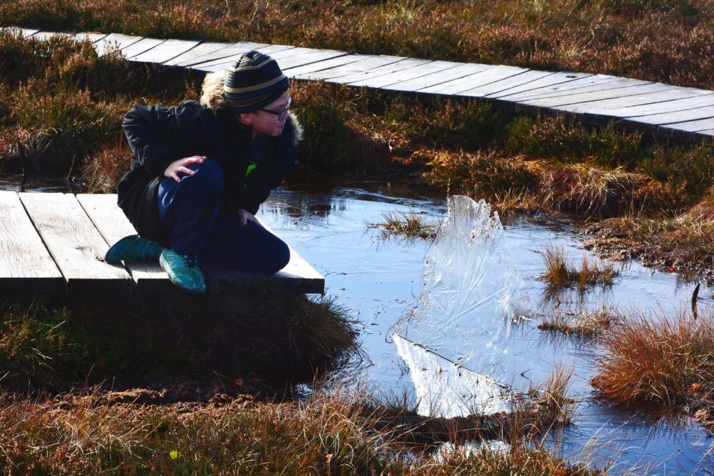 pompa-submersibila-de-apa-curata-1