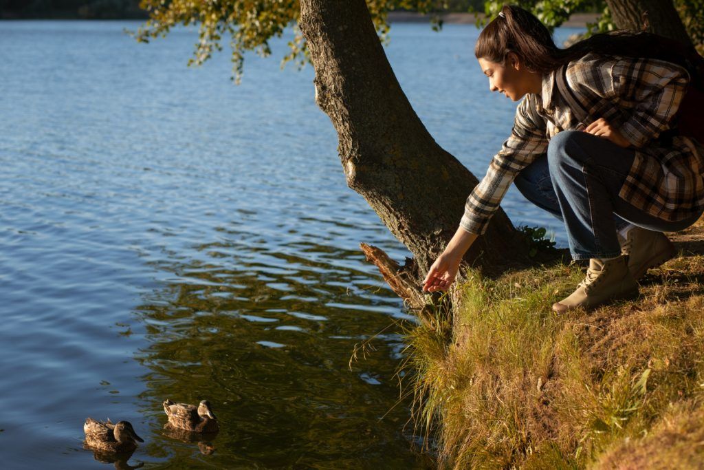 pompa-submersibila-de-apa-curata-7