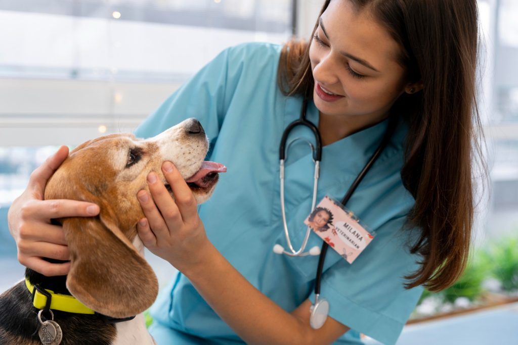 clinica-veterinara-sector-4-1