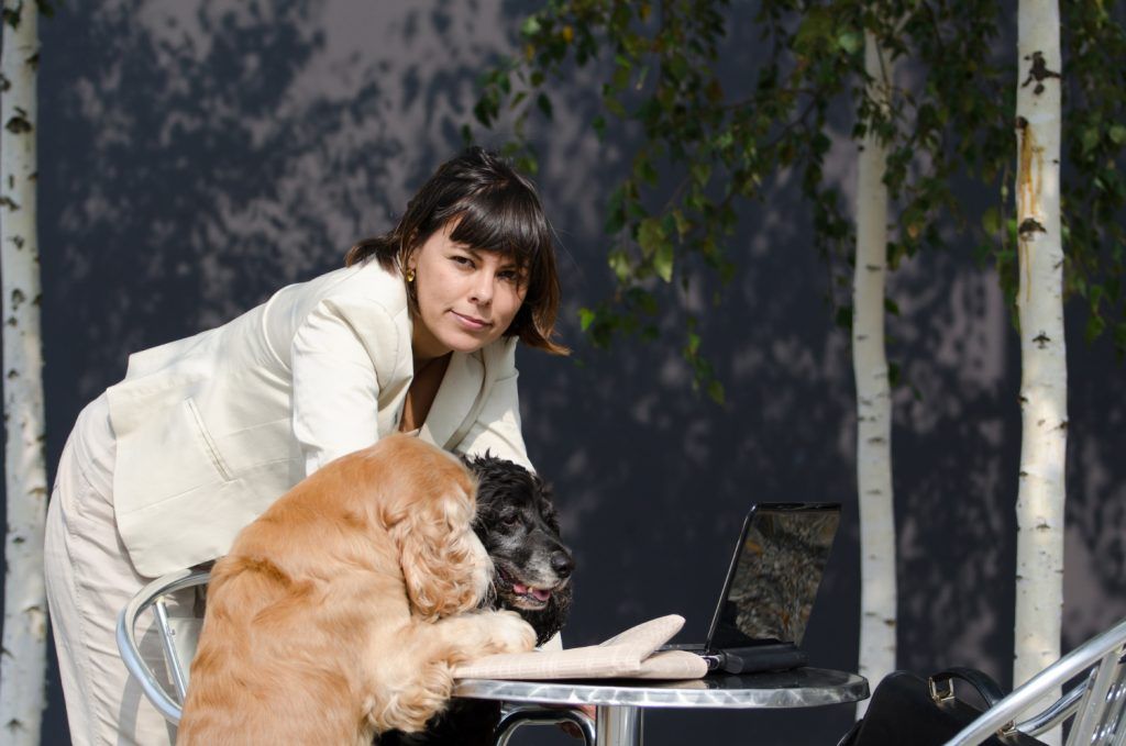clinica-veterinara-sector-4-2