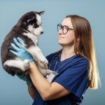 veterinar-bucuresti