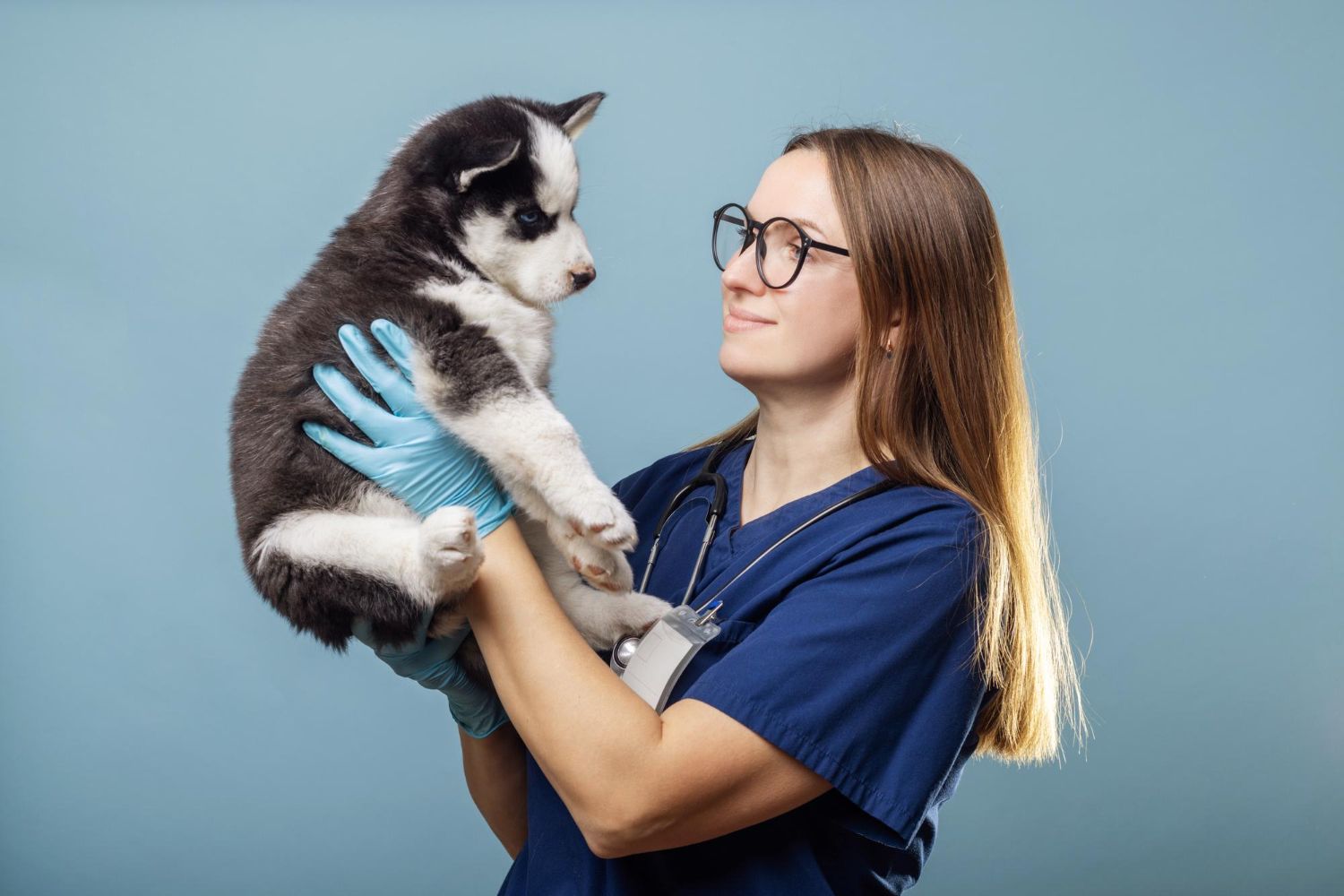 veterinar-bucuresti